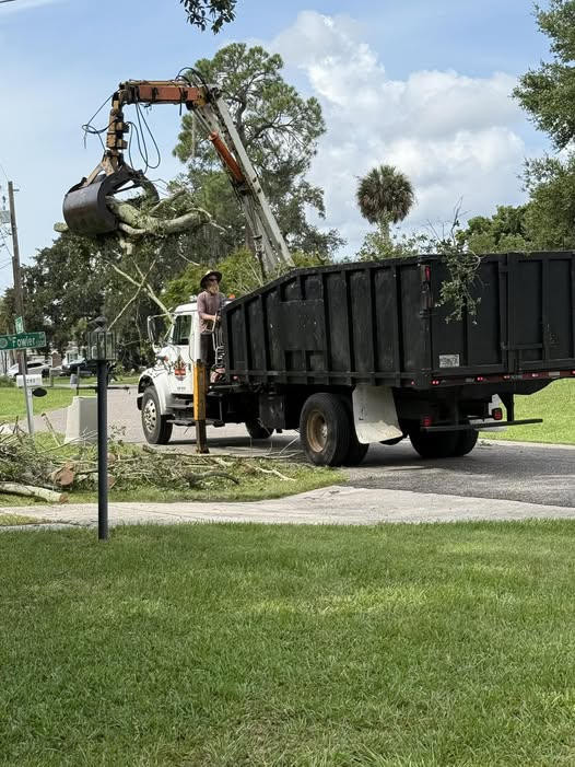 Volusia Bobcat & Tree Service Expands Grapple Service in Volusia County